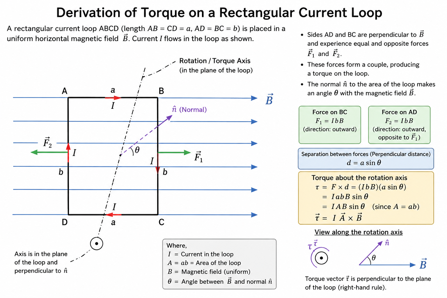 Torque on Loop